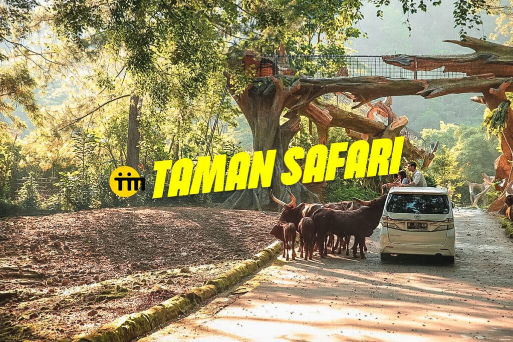 travel jakarta bogor