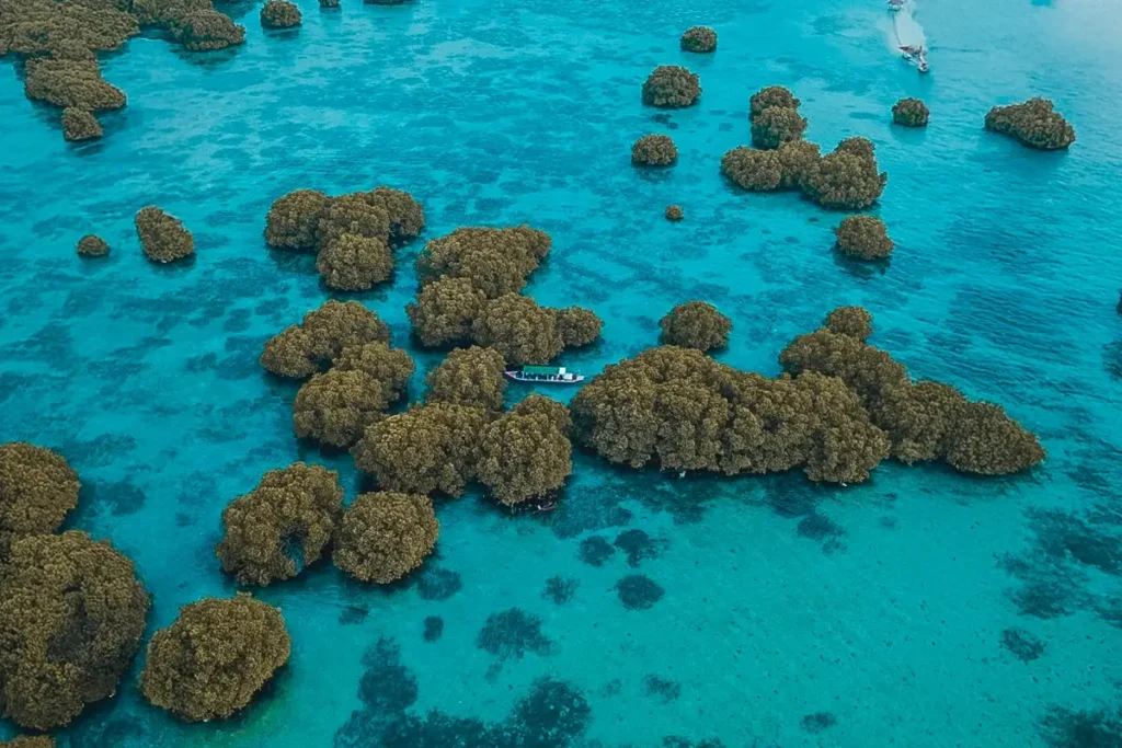 Paket Wisata Pulau Pari 2 Hari 1 Malam